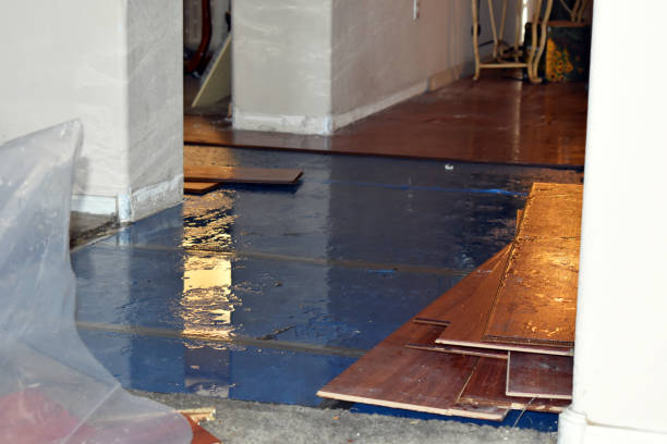 Professional Basement Flood Cleanup technician working in Ashley, OH